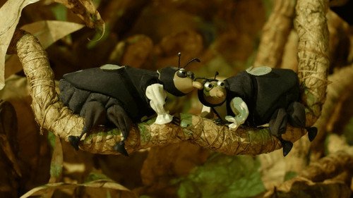 Le cid - Gorgiard - gabarit (2)