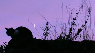 Le jour et la nuit