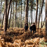 Leila and the koalas