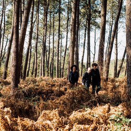 Leila and the koalas