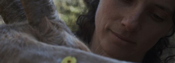 Les initiés - Femme regardant sa chèvre