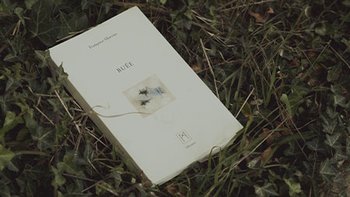 Livre dans herbe Buee Françoise Morvan LGB44 Lecture publique