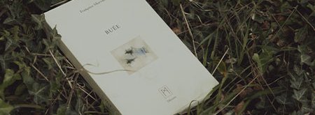 Livre dans herbe Buee Françoise Morvan LGB44 Lecture publique