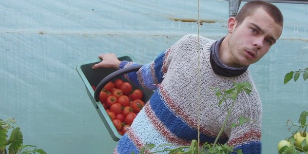 Mael et sa cagette de tomates