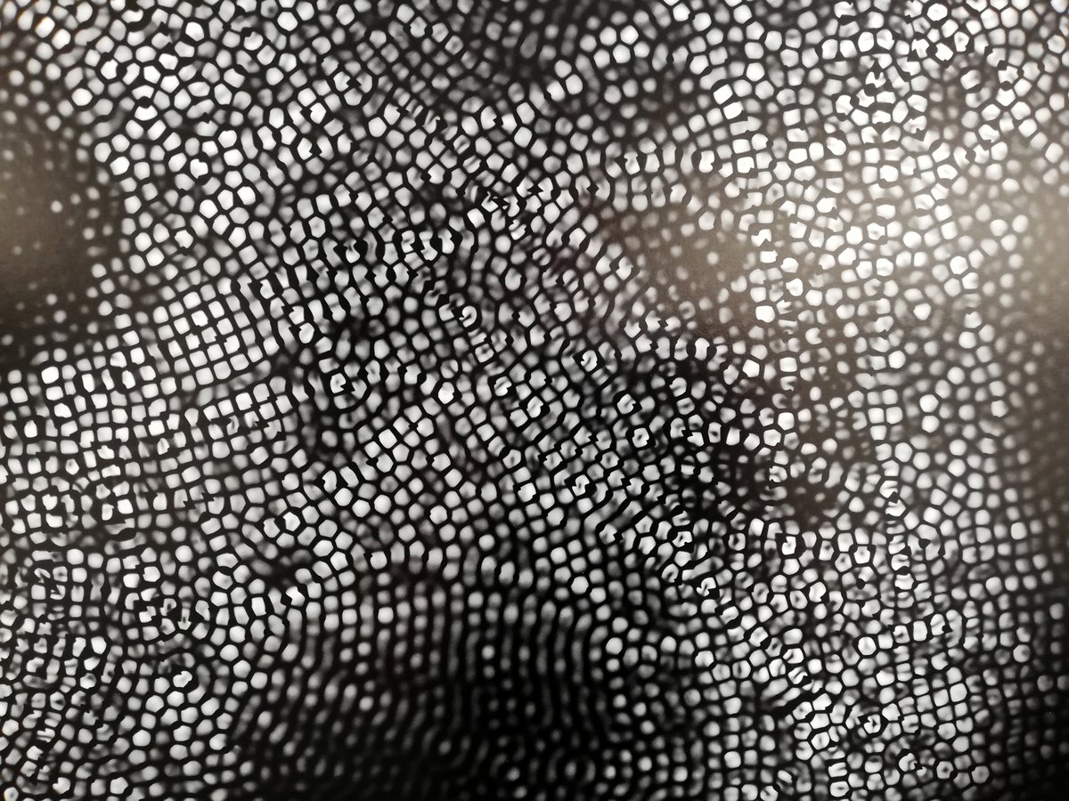 mael le golvan diffraction galerie le lieu six