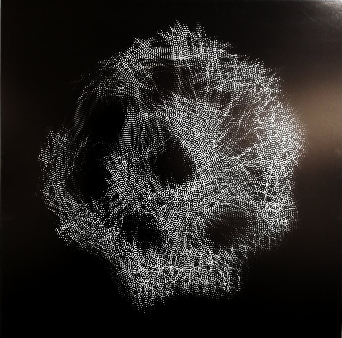 mael le golvan diffraction galerie le lieu neuf