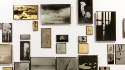 marie rameau fabriqueurs d'images photographie expostion Le Lieu galerie cover