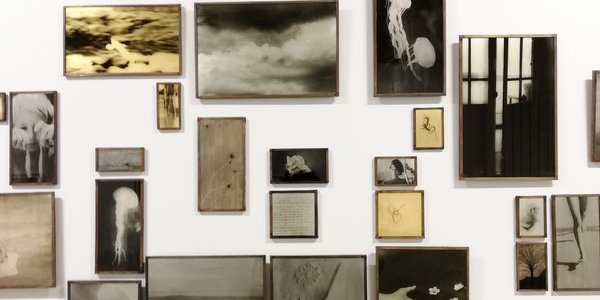 marie rameau fabriqueurs d'images photographie expostion Le Lieu galerie cover