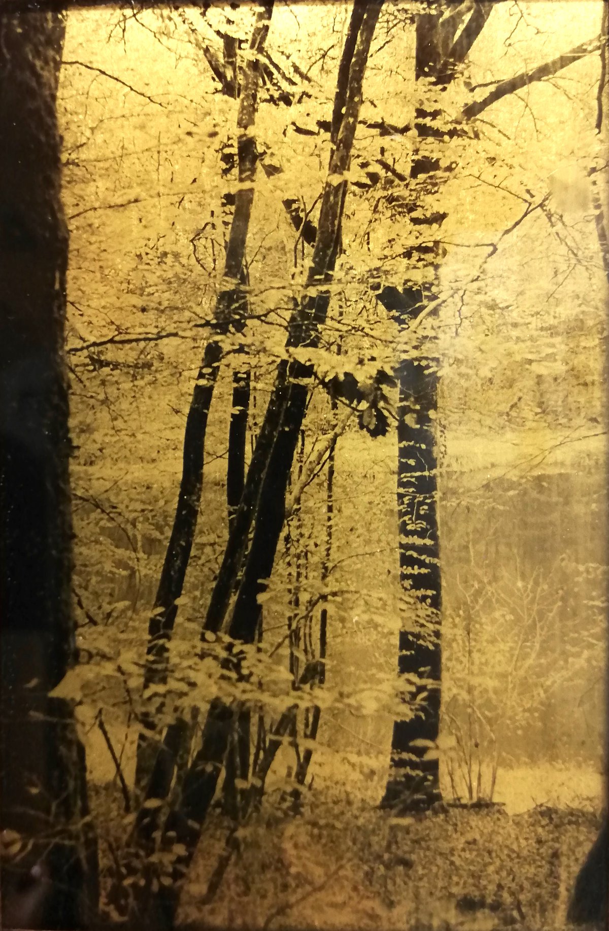 marie rameau vingt trois une enfance pres de la falaise