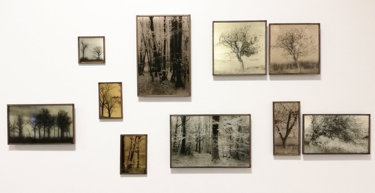 marie rameau vingt huit une enfance pres de la falaise