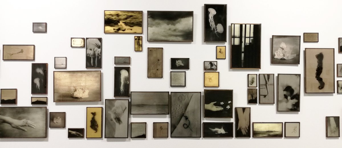 marie rameau un  une enfance pres de la falaise