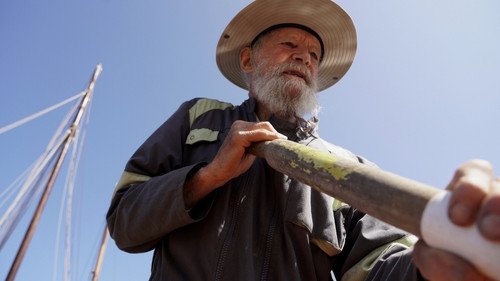 Morvarc'h - Boisseaux - gabarit