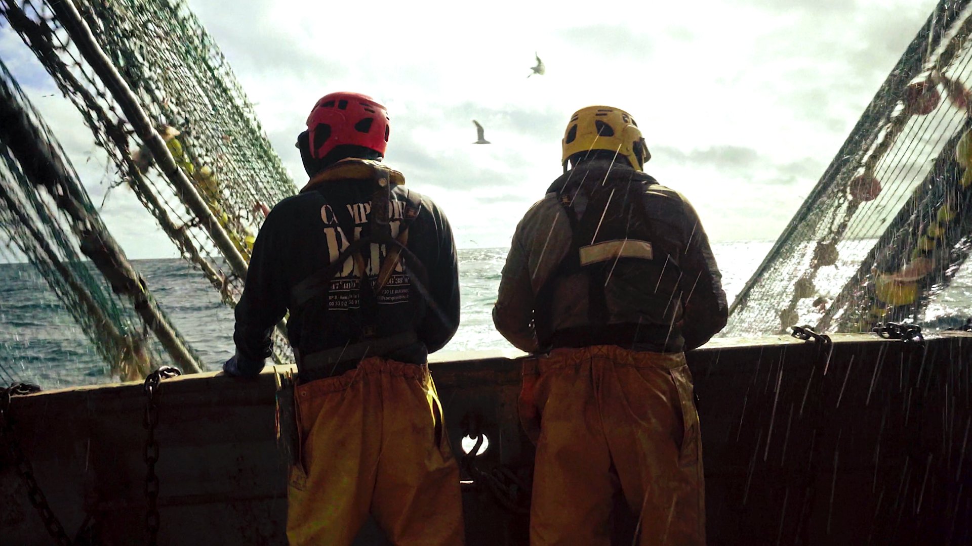 PDM 2026 - Banner - hd