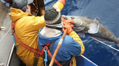 PECHE posté à bord
