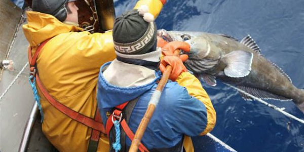 PECHE posté à bord