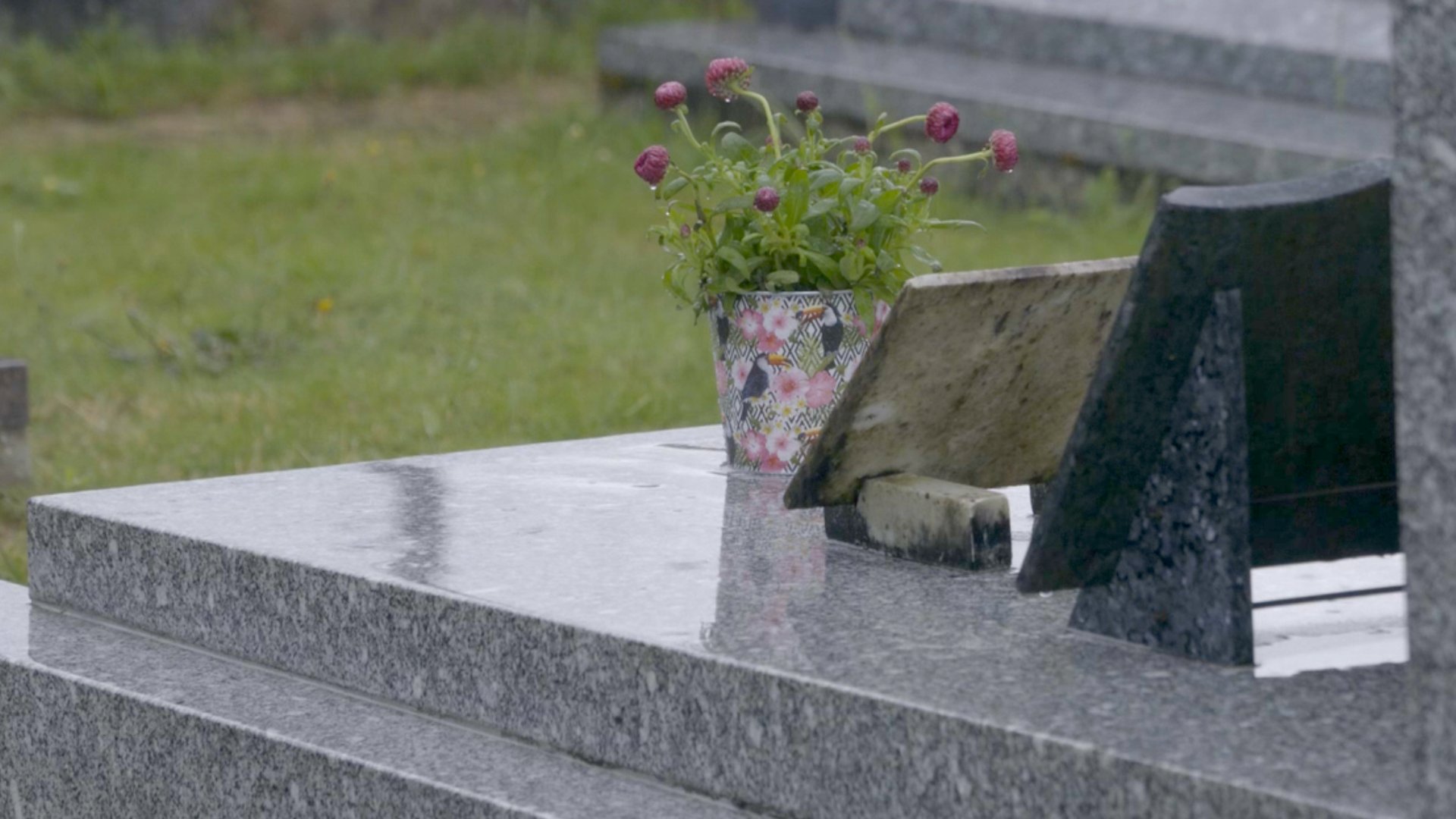 Petit coin de ciel bleu - Bourcy - Banner - hd