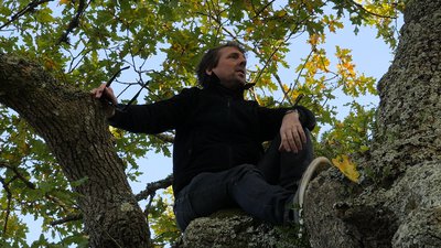 Patrice Pluyette dans les arbres