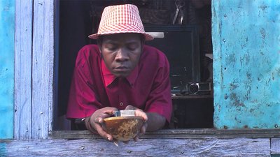 Romeo Fenetre Salon Coiffure Nofinofy