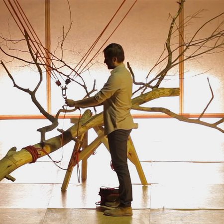 Simon Gauchet harnache l'arbre