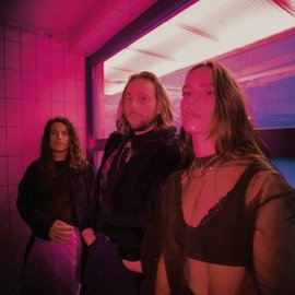 Sternn - portrait - Gabarit