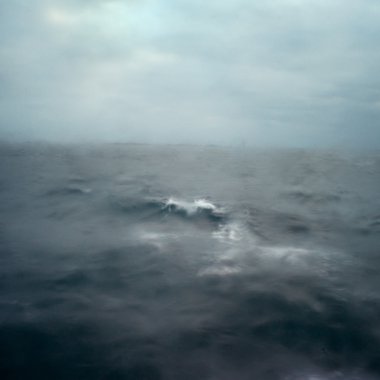 The midnight Revolution.jpeg