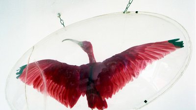 Valparaiso René Tanguy