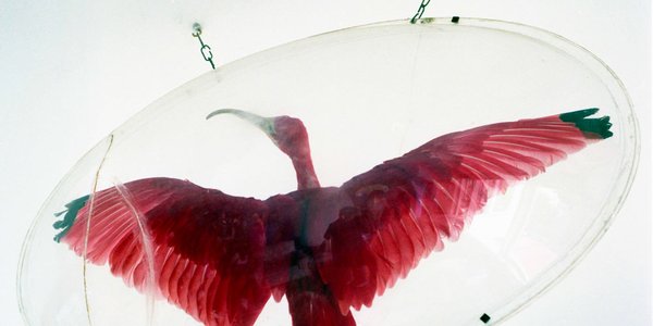 Valparaiso René Tanguy