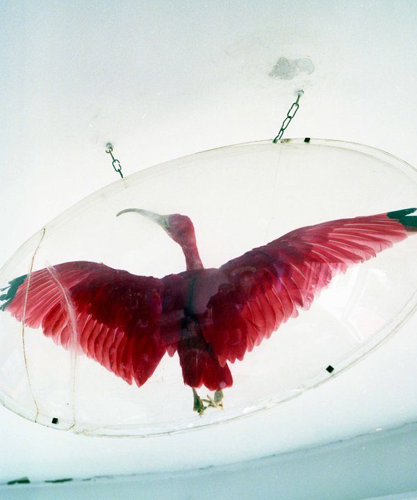 Valparaiso René Tanguy