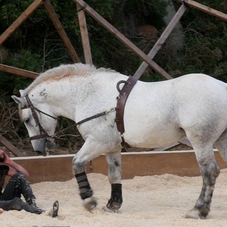 Volti subito Julien nicol stéphanie outin gare au gorille