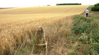 Weinzaepflen Borne champ blé