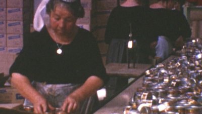 _conserverie de poissons - mise en boite du poisson cover