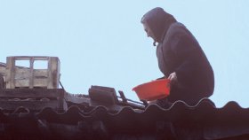 accroupie sur le toit