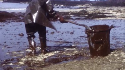 amoco Archive homme qui nettoie la plage