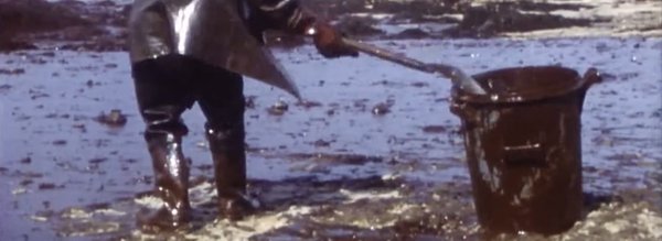 amoco Archive homme qui nettoie la plage