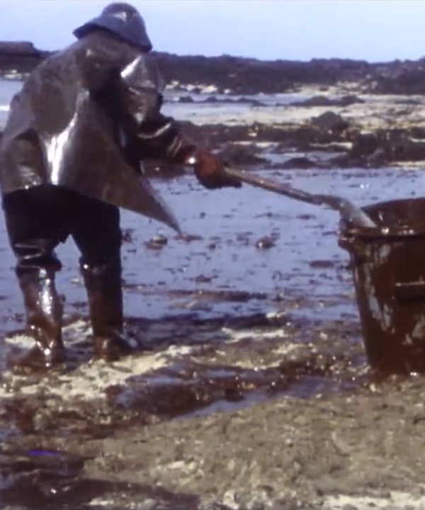 amoco Archive homme qui nettoie la plage