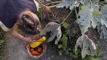 annick dans le potager - vivre en ce jardin - cover