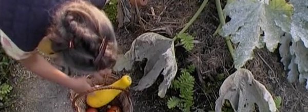 annick dans le potager - vivre en ce jardin - cover