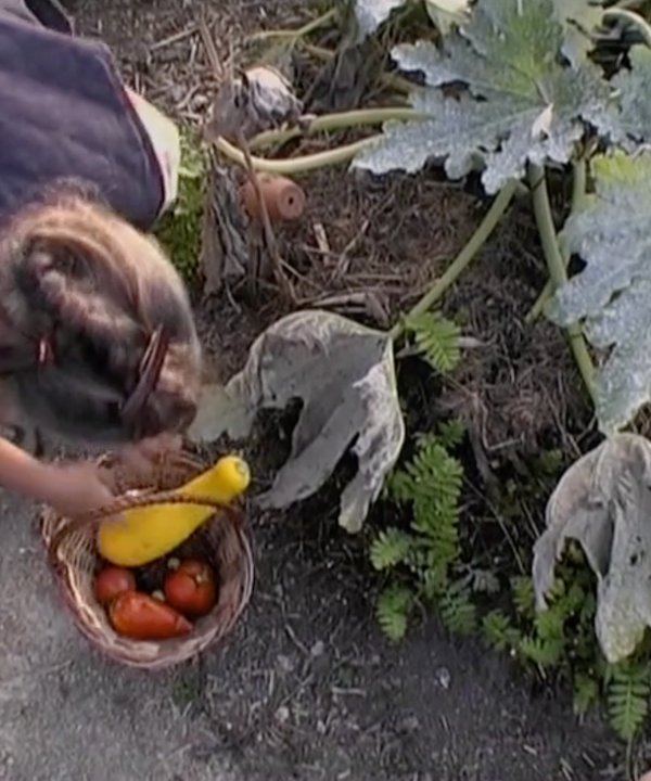 annick dans le potager - vivre en ce jardin - cover