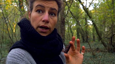 arbre sapin lea muller