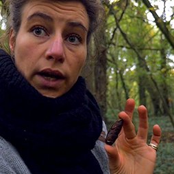 arbre sapin lea muller