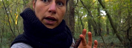 arbre sapin lea muller