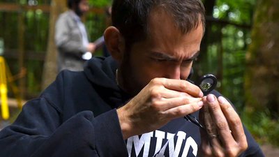 Archéologue regarde à la loupe