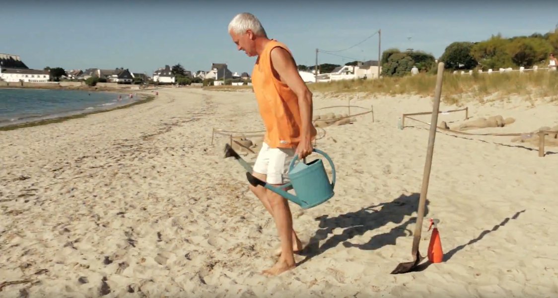 balade sur la plage Richard Bois