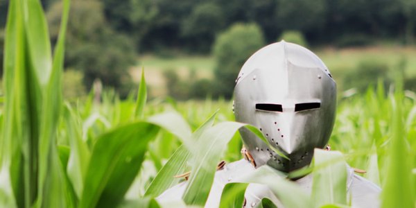 au milieu du champs -Dans l'armure d'Abraham