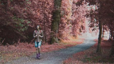 arbre en fleur rose born idiot after school