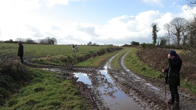 boue balade dans les champs journal breton saison 2 inès léraud