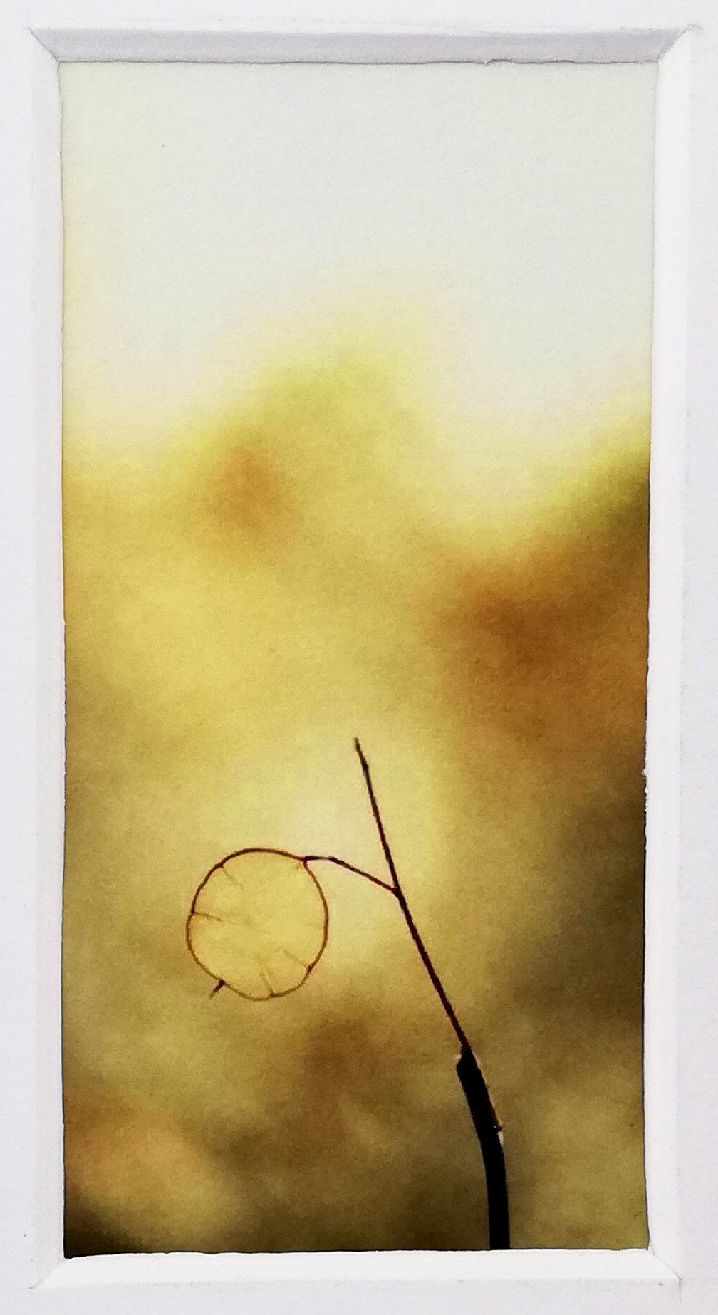 carolina valladares quatre andazaz