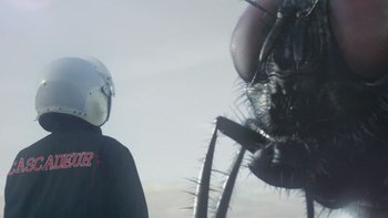 cascadeur turn to dust cover la mouche