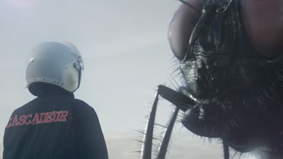 cascadeur turn to dust cover la mouche