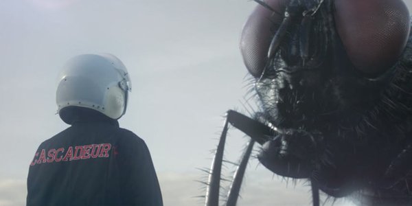 cascadeur turn to dust cover la mouche